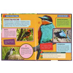 Умка / Umka / Encyclopedia "The most beautiful birds"