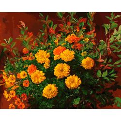 Опт-картина / Painting by numbers 40x50 Elegant marigolds