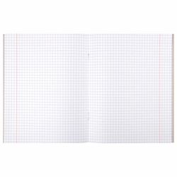 BRAUBERG / Cahier sujet LEARNING LIGHT 48 feuilles, couverture carton, GEOMETRIE, cage, ECO prompt / 10 pcs.
