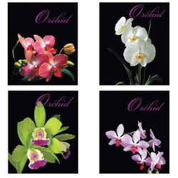 BRAUBERG / Notebook A5, 48 sh., ECO, cage, cardboard cover, ORCHIDS / 10 pcs.