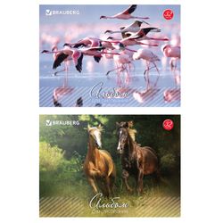 BRAUBERG / Álbum para desenho "Vida Selvagem" (2 tipos), 32 folhas A4, 200x283 mm, grampo, capa de papelão