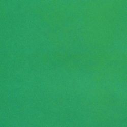 Coloured paper, A4, coated (glossy), 8 sheets in 8 colors, on a bracket, INLANDIA, 200х280 mm, "ORLANDIC IN the PARK"