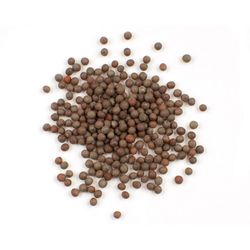 Brown mustard seed
