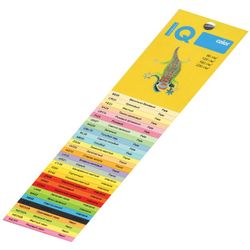 Color paper A4 100 l "IQ color"