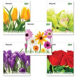 BRAUBERG / Notebook A5, 96 sh., ECO, cage, cardboard cover, FLOWERS / 14 pcs.