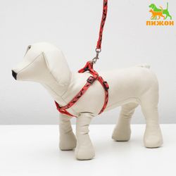 Пижон / Dude / Sewn "Military" set, width 1 cm, harness 22-36 cm, red