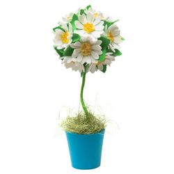 A set of creative topiary "Daisies"