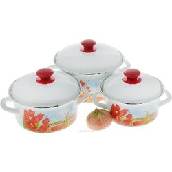 Set of dishes "the Country of tulips-1" for cooking