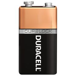 DURACELL / Batteries Basic 6LR61 (CROWN) Alkaline 9 V, 1 pc. in blister