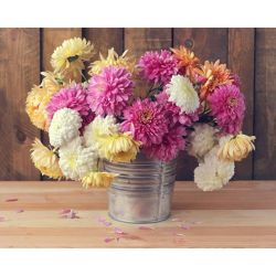 Опт-картина / Painting by numbers 40x50 Beautiful peonies