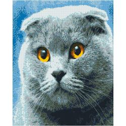 Опт-картина / Diamond mosaic, 40x50, square rhinestones British cat