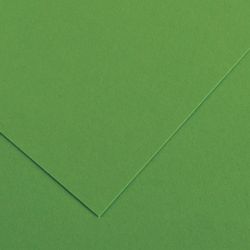 SADIPAL / Paper (cardboard) green moss for creativity "Sirio" A2 + (500x650 mm), 240 g / m2,