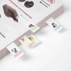 Bookmark adhesive BRAUBERG WITH a PICTURE "PUPPIES", plastic, 48х15 mm, 5 colors x 20 sheets in plastic book
