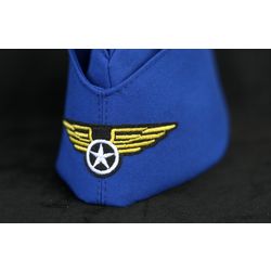 Pilotka pilot stylized "Wings"