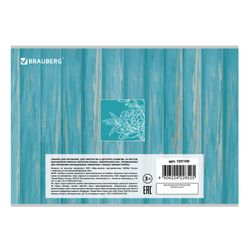 BRAUBERG  / Malalbum "Blumen in einer Vase", 202x285 mm, 40 Blatt A4, Heftklammern, Selektivlack