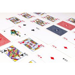 GamesDealer / Copag 310 carte Gaff
