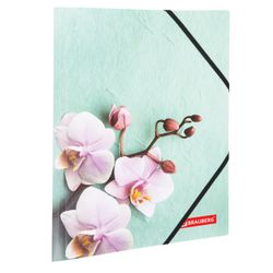 Carpeta con gomas elásticas BRAUBERG "FLOWER", A4, impresión a color, hasta 300 hojas, 500 micras