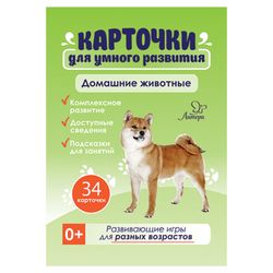 Card developing "Pets", Litera