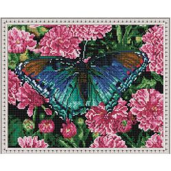 Опт-картина / Diamantmosaik 40x50, runde Strasssteine Schmetterling