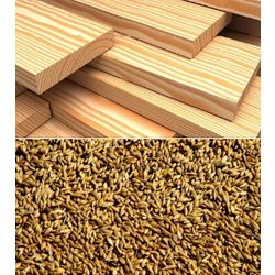 Conducting operations for the export of lumber, groceries and grain to Arab countries