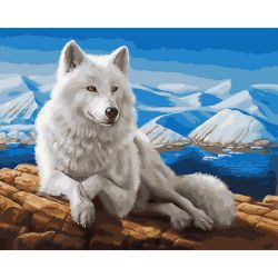 Опт-картина / Tinta pelo número 40x50 GX 29559 Lobo branco