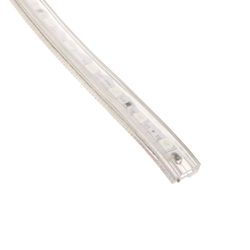 Ecola / Bande LED, 220V