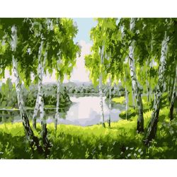 Опт-картина / Peinture par numéros 40x50 Nature russe
