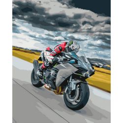 Опт-картина / Painting by numbers 40x50 Speed
