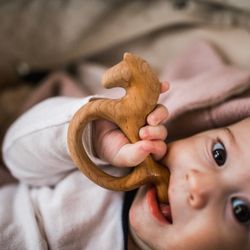 Zartoy / Konik Rattle