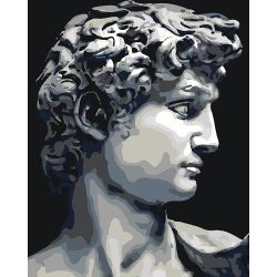 Опт-картина / Painting by numbers CAKADU 40x50 David