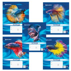 BRAUBERG / Carnet 12 pièces, Cage, couverture cartonnée, MAGIC FISH / 20 pcs.