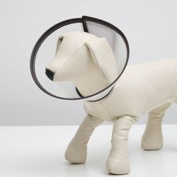 Пижон / Dude / Veterinary collar # 3, neck girth 22.5 cm, height 11 cm