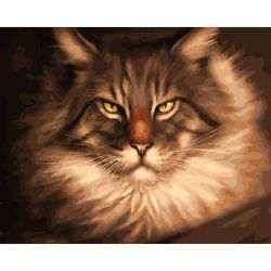 Опт-картина / Pintura por números 40x50 Gato importante