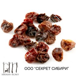 Kalina dried
