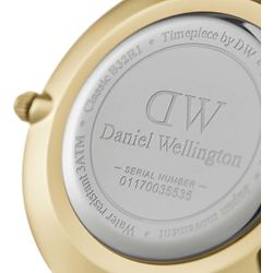 Daniel Wellington / Petite Saatler DW00100348