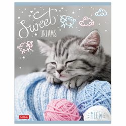 HATBER / Notebook А5 48 p. bracket, cage, cardboard cover, "By the name of Meow" / 10 pcs.