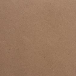 Sketchbook, craft paper 80 g/m2, 205 x290 mm, 50 sheets, comb, hard substrate, BRAUBERG ART "DEBUT"