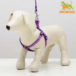 Пижон / Munitionsset "Stars", Breite 1 cm, Leine 120 cm, Geschirr 26-38 cm, lila