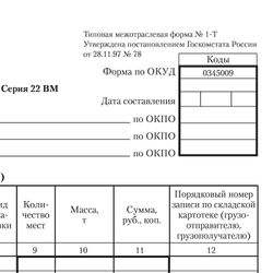 BRAUBERG / Accounting form, offset, "Consignment note", A4 (198x275 mm), SPIKE 100 pcs.