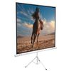 BRAUBERG / Projection screen 200x200 cm "Tripod"