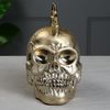Керамика ручной работы / Piggy bank "Skull Iroquois"