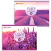 BRAUBERG / Quaderno "Lavender" (2 tipi), 48 fogli A4, 205x290 mm, pettine, copertina in cartone