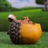 Хорошие сувениры / Figured planter "Squirrel on a nut" 18x15 cm