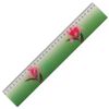 Règle 3D, 30 cm, BRAUBERG, effet de mouvement, "Amazing flower", cintre euro