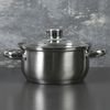 Доляна / Doliana / Casserole "Grette", 1.6 l, d = 16 cm, with glass lid, capsule bottom