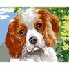 Опт-картина / Painting by numbers 20x30 Sad look