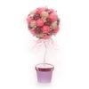 Волшебная мастеркая / Paleta mágica / Set para la creatividad "Topiary. Pink miracle"