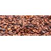 Cocoa beans