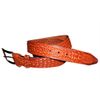 Belt with a snake