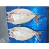 Pangasius the gutted